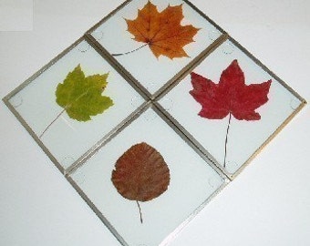 KIT: Glass Coaster Making Kit, SILVER-tone, 4 coasters, use w/your pressed flowers, pictures, leaves, create a garden gift--DIY glass blanks