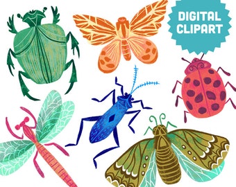 BUGS Digital Clipart Instant Download Illustration Beetle Dragonfly Insect Moth Butterfly Ladybug Nature Specimen Entomology