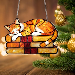 Orange Cat on The Books Acrylic Hanging Decor, Book Lover Gift Acrylic Window Hanging, Cat Mom Gift, Cat Gifts,Librarian Gift For Book Lover