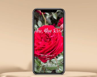Red rose iphone wallpaper, aesthetic iphone wallpaper, iphone rose wallpaper, red rose, rose iphone wallpaper, digital download
