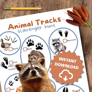 Tierspuren Schnitzeljagd: Kinder Camping Aktivität (druckbare PDF-Download)