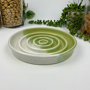 May include: A round ceramic slow feeder bowl featuring a series of concentric raised rings in the centre. The bowl has a smooth, glazed finish with a colour palette of creamy white and soft sage green, creating a subtle, blended gradient effect.