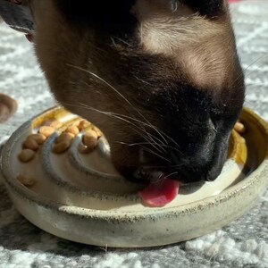 May include: A round, ceramic slow feeder bowl with a cream-coloured interior featuring raised, spiral ridges. The exterior rim is a dark, earthy brown. A Siamese cat is eating small, light brown kibble pieces from the textured surface of the bowl.