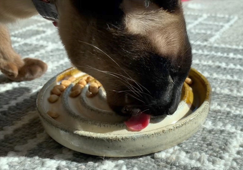 May include: A round, ceramic slow feeder bowl with a cream-coloured interior featuring raised, spiral ridges. The exterior rim is a dark, earthy brown. A Siamese cat is eating small, light brown kibble pieces from the textured surface of the bowl.