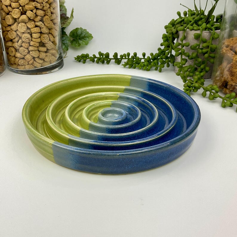 May include: A round ceramic slow feeder bowl featuring a series of concentric raised rings. The bowl is finished in a two-tone glaze, with one half in a vibrant lime green and the other half in a deep navy blue, creating a distinct colour split.
