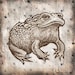 Avatar belonging to toadbriar