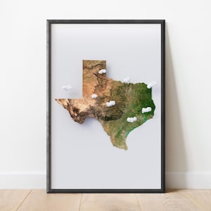 Texas Satellite Topography Relief Map Wall Art | Stylized Cartography | Elevation Terrain Relief | Topographic Map Print