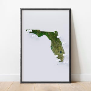 Florida Satelliten Topographie Reliefkarte Wandkunst | Stilisierte Kartographie | Ansicht Gelände Relief | Topographische Karte Druck
