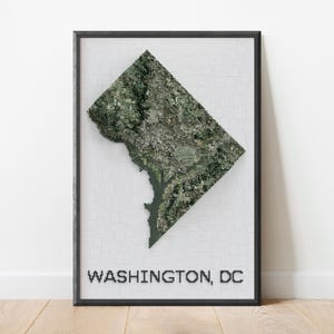 Può includere: Stampa incorniciata di Washington, DC, con una mappa dettagliata della città. La mappa è in tonalità di verde e bianco, con il contorno della città ben visibile. Il testo "WASHINGTON, DC" è stampato in grassetto nero in basso.