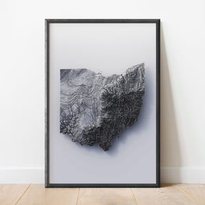 Carte en relief minimaliste de l'Ohio | Cartographie d'art stylisée | Relief du terrain en altitude | Visualisation de la mission topographique 3D du radar de la navette