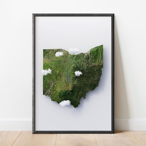 Carte du relief satellite de l'Ohio | Cartographie d'art stylisée | Relief du terrain en altitude | Visualisation de la mission topographique 3D du radar de la navette