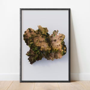 State of Mexico Satellite Relief Map | Stylized Art Cartography | Elevation Terrain Relief | Estado de Mexico and Distrito Federal
