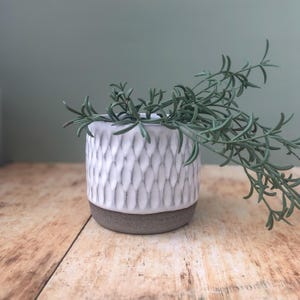May include: A cylindrical ceramic planter with a white, textured, vertical diamond-patterned upper section and a smooth, dark grey, unglazed base. A green, leafy plant with thin, needle-like foliage grows out of the top of the ceramic vessel.