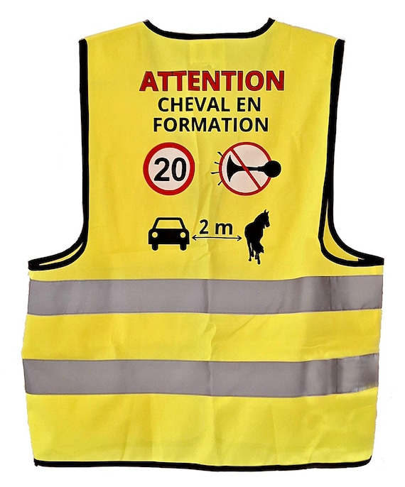 Gilet haute visibilité jaune + triangle de signalisation - Kit - Viso - Équipement et matériel de sécurité - Achat & prix