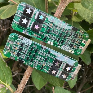 May include: Two green circuit boards with various electronic components, including black squares with star designs. The boards have text and are set against a backdrop of green leaves and branches. The boards have the text "20A" and "12.6V".