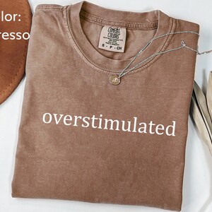 Comfort Colors® Overstimulated T-Shirt for Mom, Cowboy Frog Shirt, Unhinged Sweatshirt, Weirdcore Clothing, Gen Z Shirt, Weird Stuff Funny