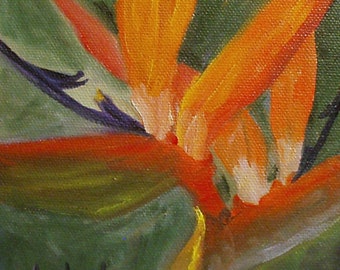 Christmas Sale, Bird of Paradise, Flower, miniature, 5x5, Hand-painted, original