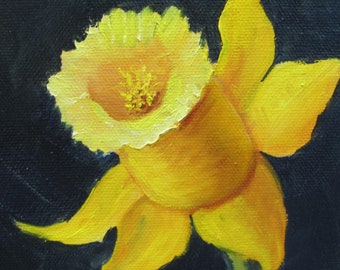 Yellow Daffodil,oil painting, floral, flower,5x5, original, hand-painted,  Barbara Haviland,miniature oil