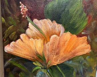 Hibiscus, flower, Peach color, 6x8, original, hand painted, Barbara Haviland-Barbsgarden