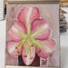 see more listings in the Miniatures and Aceo section