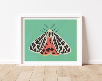 Harnessed Tiger Moth Art Print