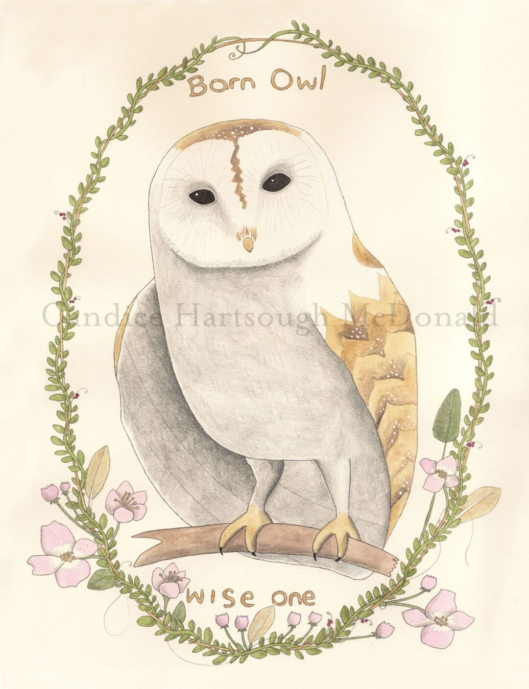 Barn Owl - Etsy