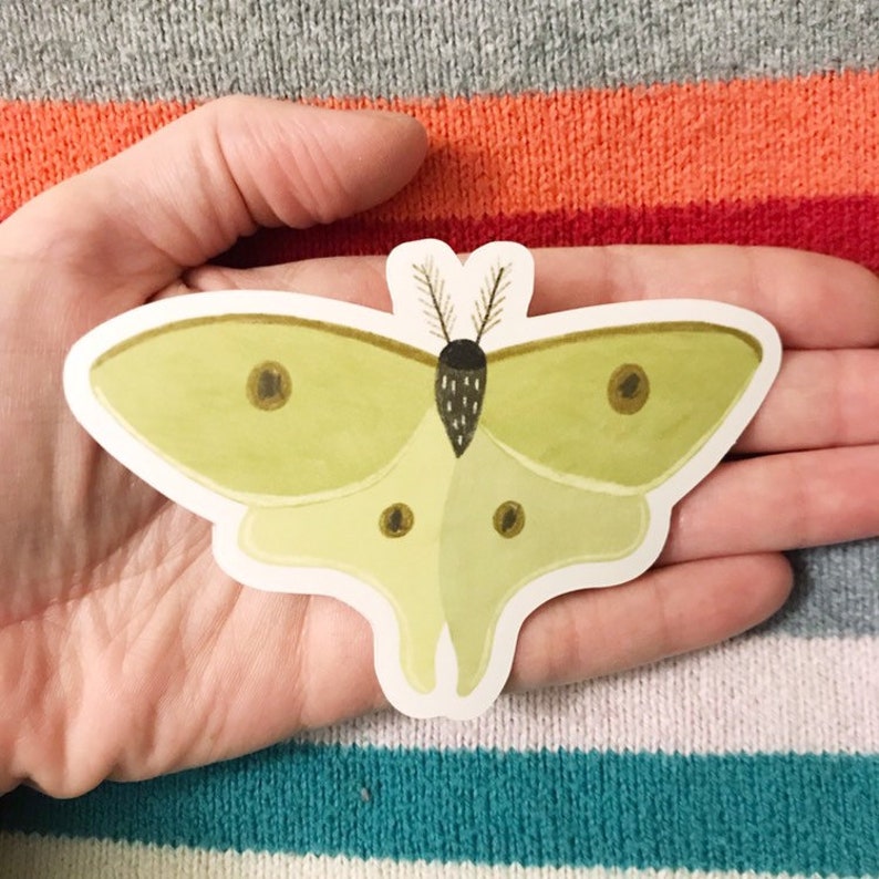 Luna Moth vinyl sticker image 2