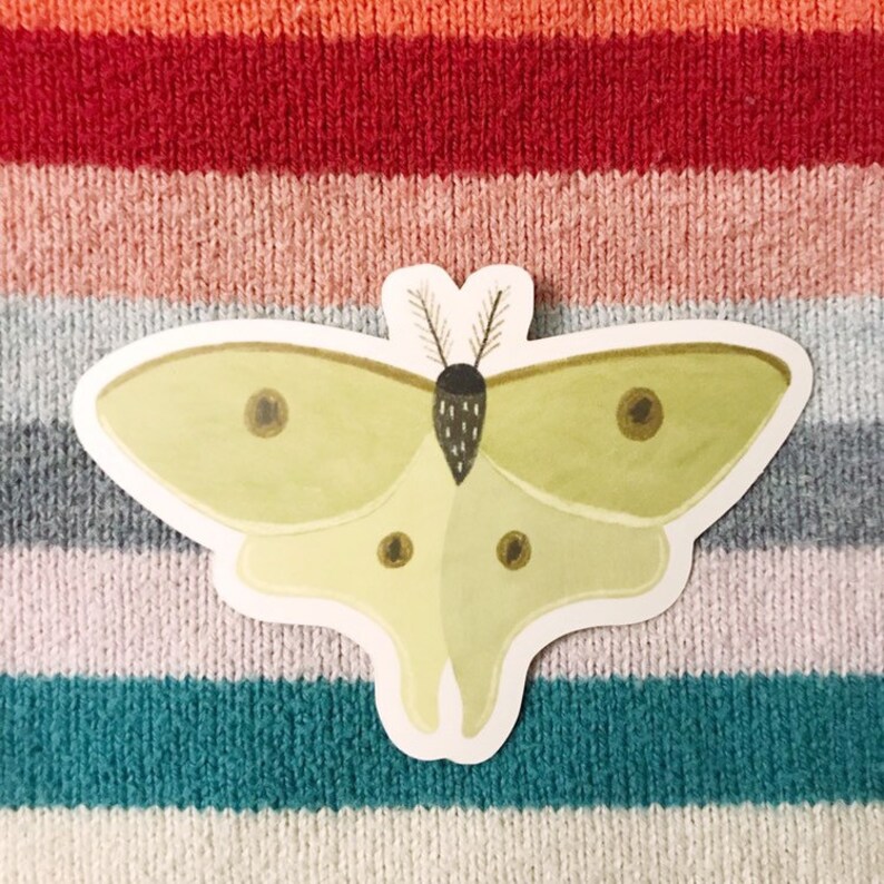 Luna Moth vinyl sticker image 1