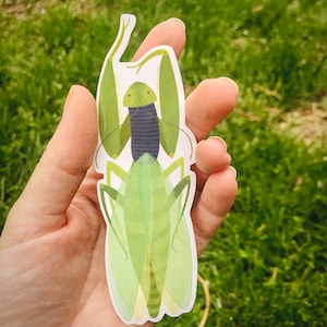 Preying mantis vinyl sticker