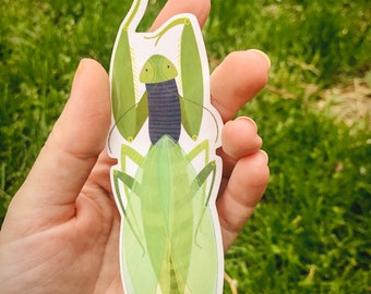 Preying mantis vinyl sticker