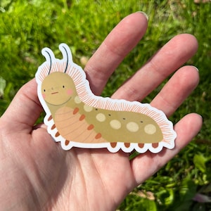 Grumpy Caterpillar vinyl sticker