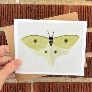 Luna Moth Greeting Card