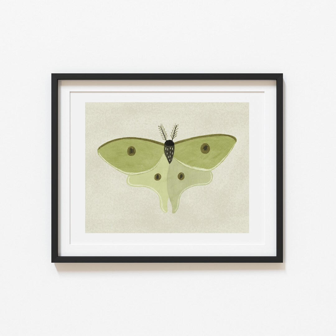 Luna Moth Art Print - Etsy