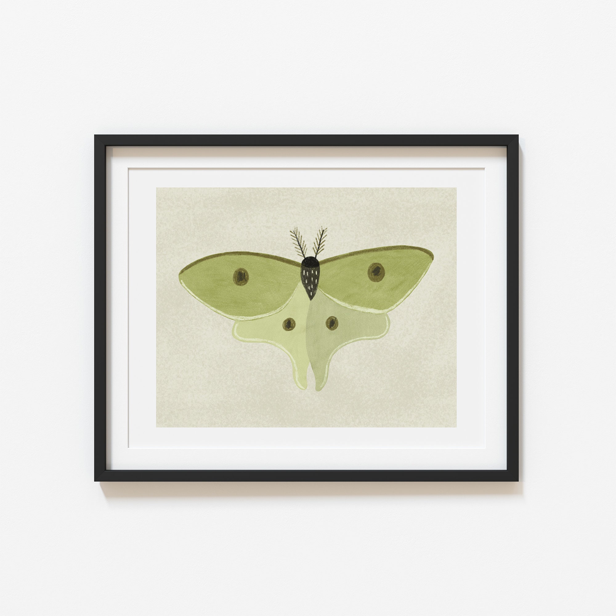Luna Moth Art Print - Etsy