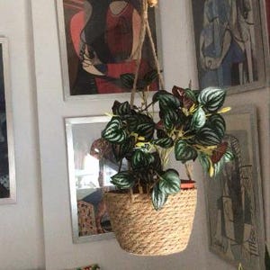 Hanging Plant Holder – Natural Jute Rope Plant Hanger – Boho Plant Pot Holder – Indoor & Outdoor Hanging Planter