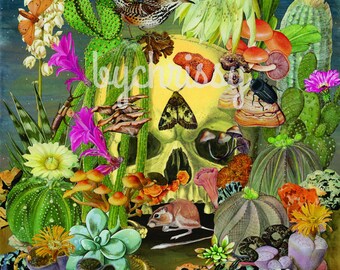 Understory (Desert) Collage Print 8x10