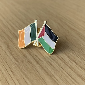 Palestine Ireland friendship badge Palestine fundraiser Gaza badge Palestine enamel lapel pin badge Gaza fundraiser Palestine Ireland flag image 1