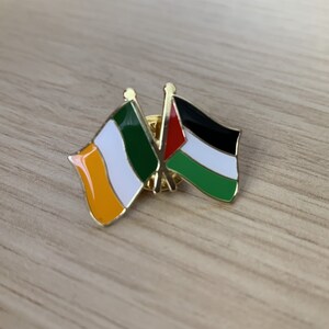 Palestine Ireland friendship badge Palestine fundraiser Gaza badge Palestine enamel lapel pin badge Gaza fundraiser Palestine Ireland flag image 3