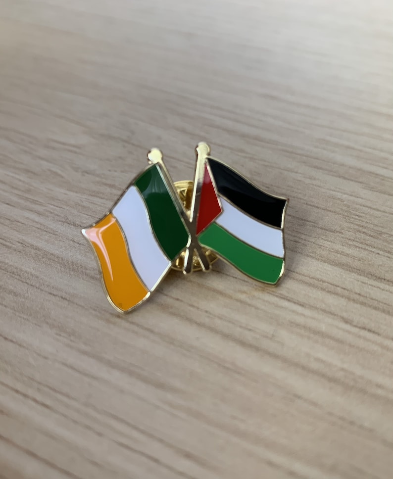 Palestine Ireland friendship badge Palestine fundraiser Gaza badge Palestine enamel lapel pin badge Gaza fundraiser Palestine Ireland flag image 3