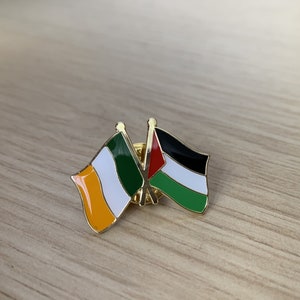 Palestine Ireland friendship badge Palestine fundraiser Gaza badge Palestine enamel lapel pin badge Gaza fundraiser Palestine Ireland flag image 2