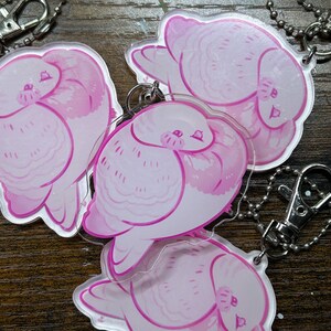 May include: Several clear acrylic keychains featuring a pink bird design. Each keychain has a silver ball chain and clasp. The bird illustration is in shades of pink and white, with details like feathers and a beak.