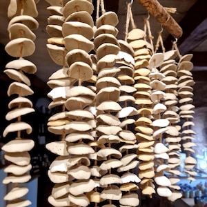 Peut inclure: Rangées de disques en céramique blanc cassé faits à la main suspendus à de la ficelle, accrochés à une poutre en bois naturel. Les disques, de formes et de couleurs variées, créent un affichage rustique et texturé. L'éclairage met en valeur les formes organiques et les tons terreux de la poterie.