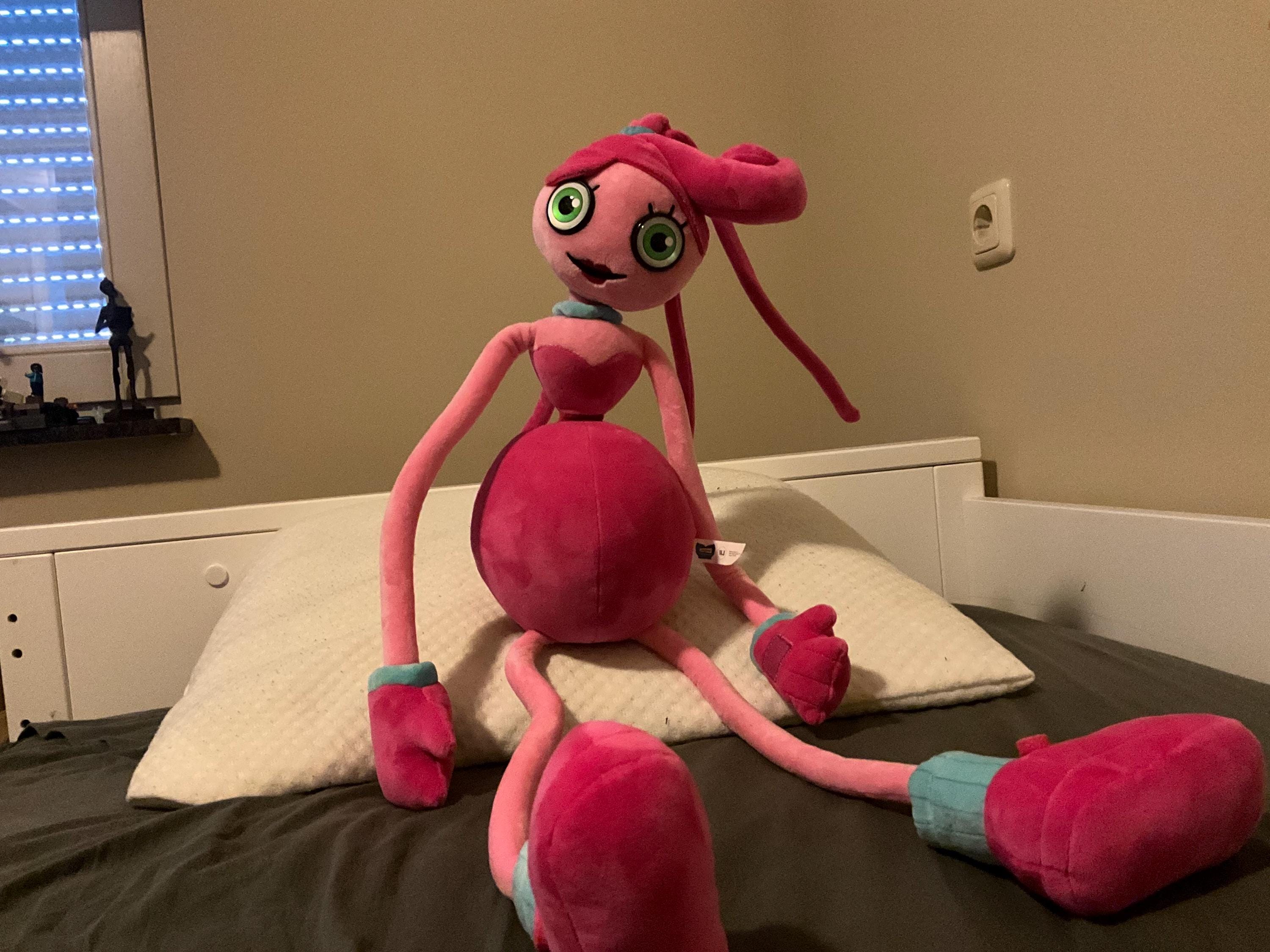 Huggy Wuggy Poppy Playtime