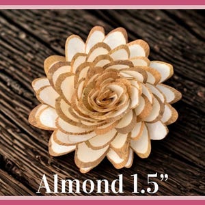 Sola-träblommor med rottingrör, dekorativa accenter, aromaterapidiffusortillbehör Almond 1.5”