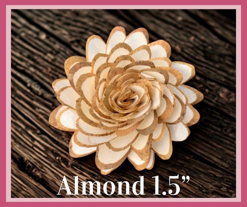 Sola-träblommor med rottingrör, dekorativa accenter, aromaterapidiffusortillbehör Almond 1.5”