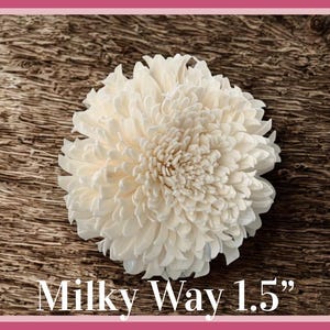 Sola-träblommor med rottingrör, dekorativa accenter, aromaterapidiffusortillbehör Milky Way 1.5”