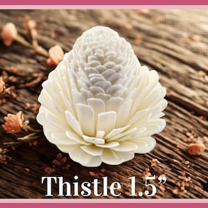 Sola-träblommor med rottingrör, dekorativa accenter, aromaterapidiffusortillbehör Thistle 1.5”