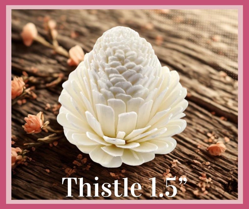 Sola-träblommor med rottingrör, dekorativa accenter, aromaterapidiffusortillbehör Thistle 1.5”