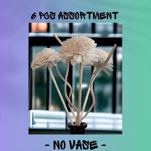 Sola-träblommor med rottingrör, dekorativa accenter, aromaterapidiffusortillbehör bild 16