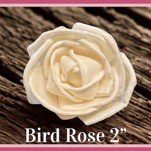 Sola-träblommor med rottingrör, dekorativa accenter, aromaterapidiffusortillbehör Bird Rose 2”
